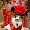 cat_meww97