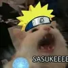 sicanechehe