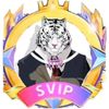 brave__xp