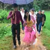 lienreview_