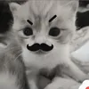 jeaaraaaaa