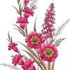 user7703183406793