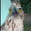 _qwertyuiiygh3