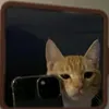 lachibolala98