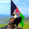 mohammadjamal970
