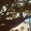 obxedits466