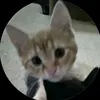 lupokills