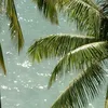 soo_003m