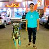ahmedelsayed7737