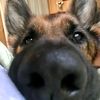 rockych_77