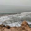 jolaelmayahi