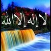 user7129542146029