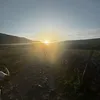 cufbjfxc