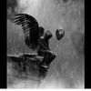 kiler1438