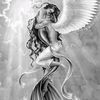 buthina11223344556