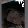 httpsdiane_