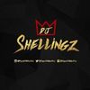 djshellingzvevo