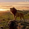 lion_king_andre