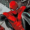 spidernalaww