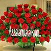 noor472181