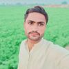 dilbaralizardar13