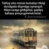 dineone63853