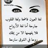 user1123221438817