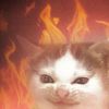 meowmeow6438