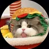 hoanggiahuy_8