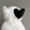 majdah_21