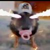chancedodd7