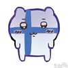 zimniy_arbuz.6