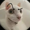 belugathegreatcat