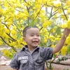 thuyty123456
