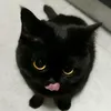 toscalab