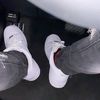 frow771