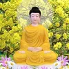 nguyenduyen5627