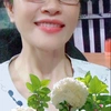 anbinh38786