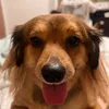 poochiebaloochie