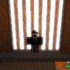 a_randomperso