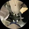 jake_0742