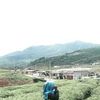 maisyamaisya950