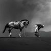 mdjesanhossain701