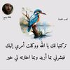 fatimaismailaliyu283