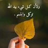 userhsovtjazdo