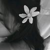 vael_wyn