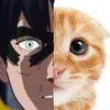 rumibomb