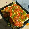 smasilsaha