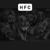 hafez3331