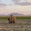 clipsscenes14